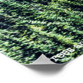 Poster Arbres et crêtes (Coin)