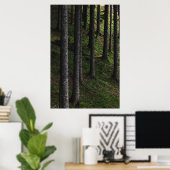 Poster Arbres et mousse verte (Bureau à domicile)