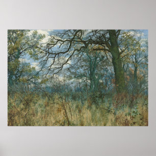Poster Arbres et sous-bois - William Fraser Garden