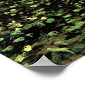 Poster Arbres Et Sous-Croissance (Coin)