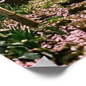 Poster Arbres Fleurs de Cerisier (Coin)