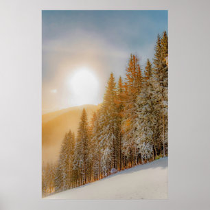 Poster Arbres forestiers d'hiver #17