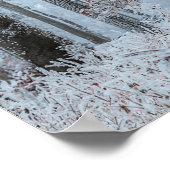 Poster Arbres forestiers d'hiver #21 (Coin)