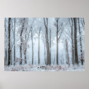 Poster Arbres forestiers d'hiver #21
