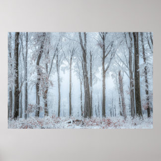 Poster Arbres forestiers d'hiver #21