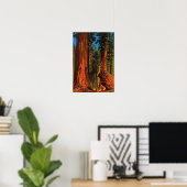 Poster Arbres géants de la forêt de séquoias Yosemite Val (Bureau à domicile)