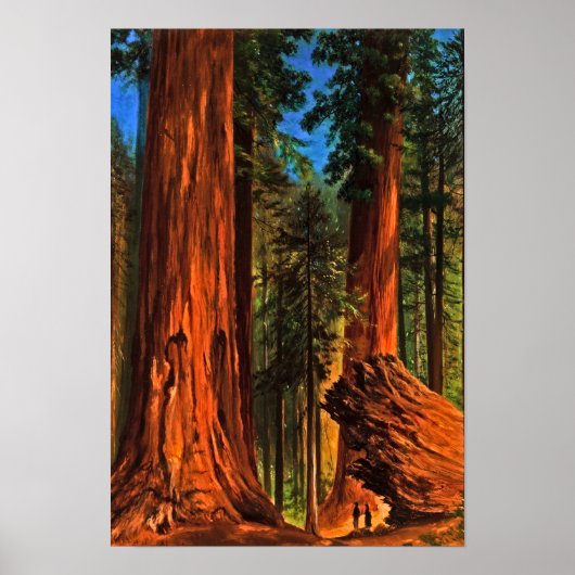 Poster Arbres géants de la forêt de séquoias Yosemite Val (Devant)
