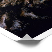 Poster Arbres géants - Parc national de Sequoia (Coin)