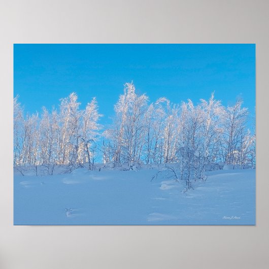 Poster Arbres givrés (Devant)