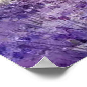 Poster Arbres Jacaranda de Maui (Coin)