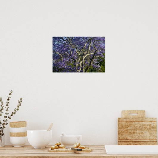 Poster Arbres Jacaranda en fleurs dans le nouveau parc ag (Cuisine)