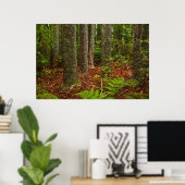 Poster Arbres Kuri | Nouvelle-Zélande (Bureau à domicile)