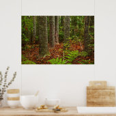 Poster Arbres Kuri | Nouvelle-Zélande (Cuisine)