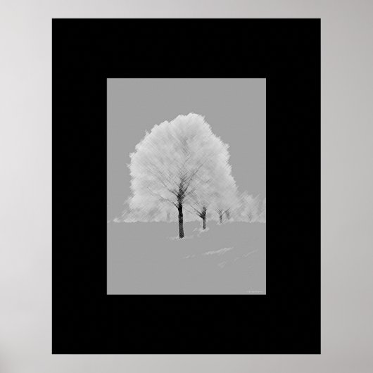 Poster Arbres - mat, noir & blanc peint art (Devant)