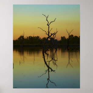 Poster Arbres morts reflétés dans le lagon de Lily Creek,