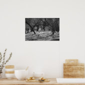 Poster Arbres noirs dans une prairie (b/w) (Cuisine)
