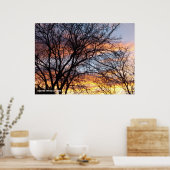 Poster Arbres nus au coucher du soleil (Cuisine)