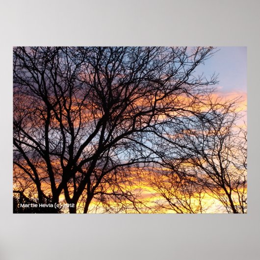 Poster Arbres nus au coucher du soleil (Devant)