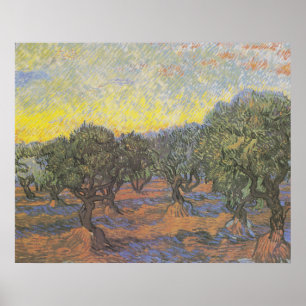 Poster Arbres oliviers ciel jaune de Van Gogh
