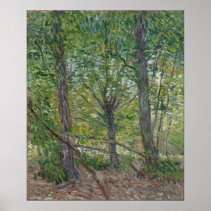 Poster Arbres par Vincent Van Gogh