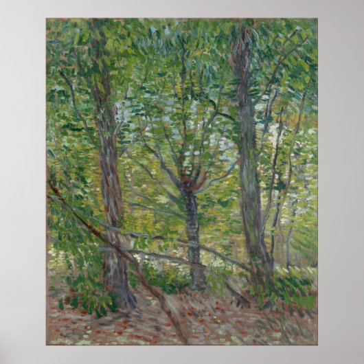 Poster Arbres par Vincent Van Gogh (Devant)