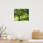 Poster Arbres pittoresques (Cuisine)