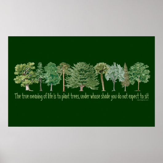 Poster Arbres plantes (Devant)