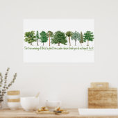 Poster Arbres plantes - Arbre, Gros (Cuisine)