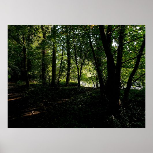 Poster Arbres près de la rivière (Devant)