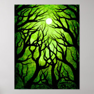 Poster Arbres qui cherchent