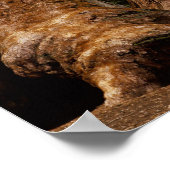 Poster Arbres Redwood, Parc national de Sequoia. (Coin)