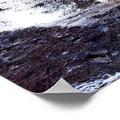 Poster Arbres réfléchissant dans l'eau de la flaque de pl (Coin)