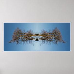 Poster Arbres reflétés