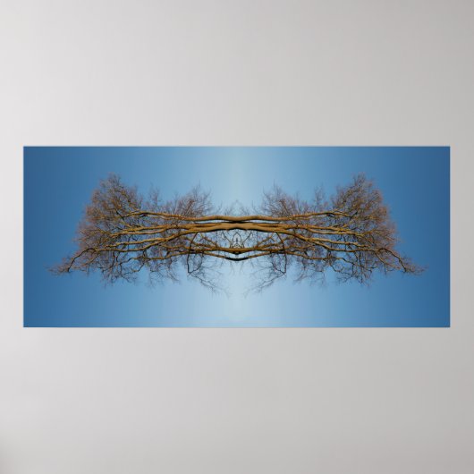Poster Arbres reflétés (Devant)