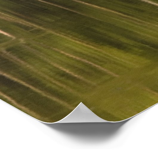 Poster Arbres Reflétés Dans L'Eau (Coin)