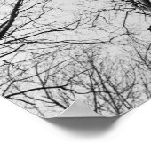 Poster Arbres sans feuilles dans le bois de Thiepval (Coin)