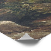 Poster Arbres séquoias géants de Californie (Coin)