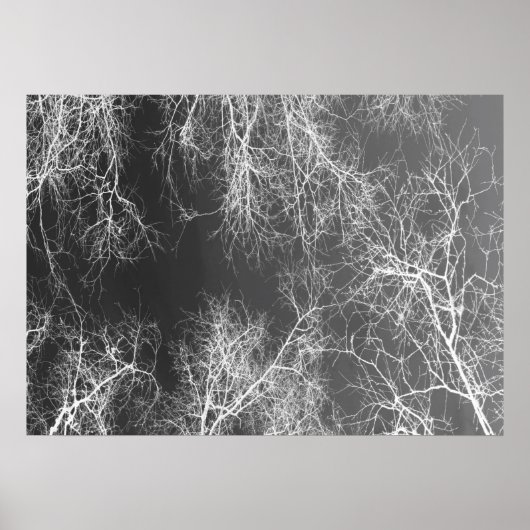 Poster Arbres silhouettes noirs et blancs (Devant)