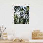 Poster Arbres sous-marins au soleil (Cuisine)