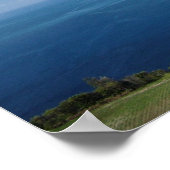 Poster Arbres surplombant l'océan (Coin)