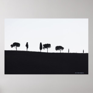Poster Arbres typiques en Toscane