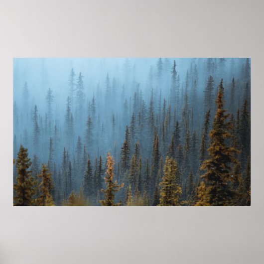 POSTER ARBRES VERTS EN JOURNÉE (Devant)