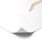 POSTER ARBRESAISONS (Coin)