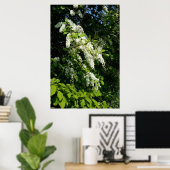 Poster Arbuste à fleurs blanches (Bureau à domicile)