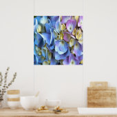 Poster Arbuste bleu Hydrangea Arbuste Artistique Bossom (Cuisine)