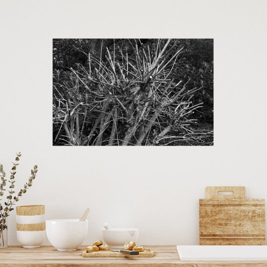 Poster Arbuste moulu (Cuisine)