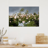 Poster arc de roses (Cuisine)