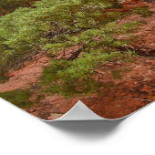 Poster Arc de Wall, Parc national des Arches, Utah (Coin)