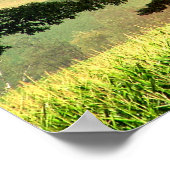 Poster Arc-en-ciel (Coin)