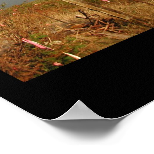 Poster arc-en-ciel (Coin)